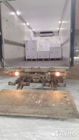 Лосось мурманская