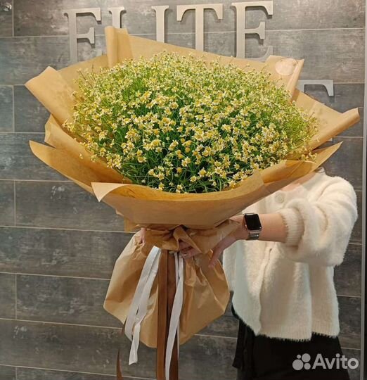 Ромашка, танацетум