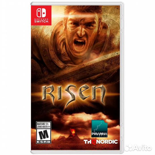 Risen Nintendo Switch, русские субтитры