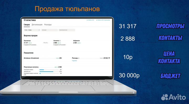 Авитолог. Услуги авитолога. Продвижение на Авито