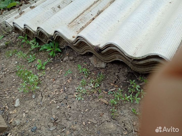 Шифер 8 волновой