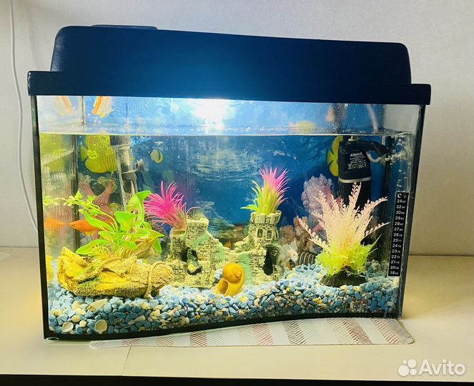 Аквариум