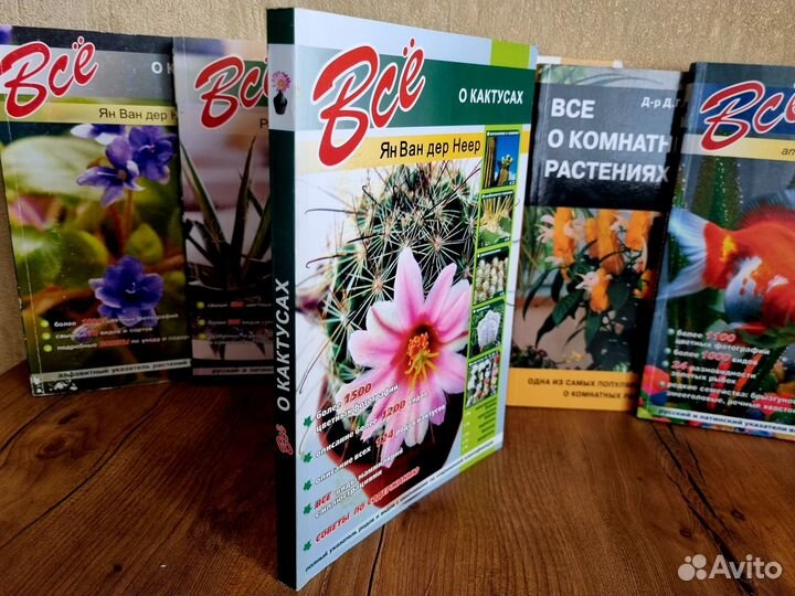 Всё о Кактусах. Ян Ван дер Неер