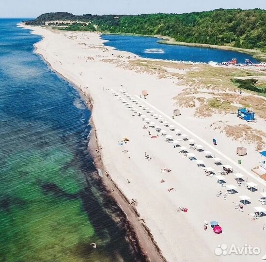 Экскурсии. Гид по Калининграду и области