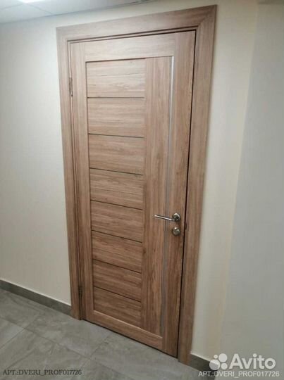 Двери с биометрией DV-4242