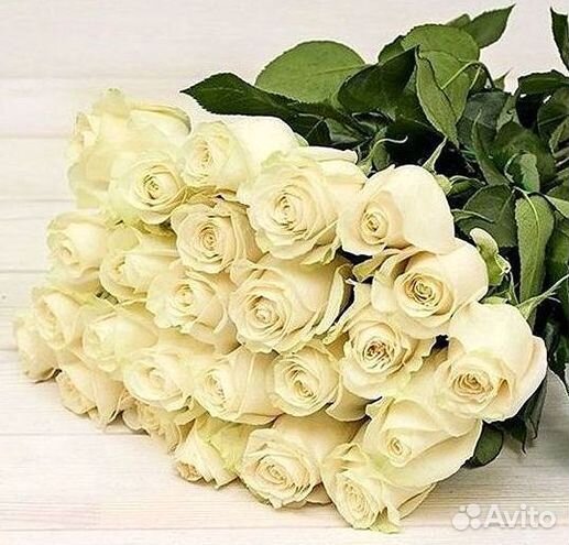 Розы Цветы Букеты 25 151 201 101 301 501 опт