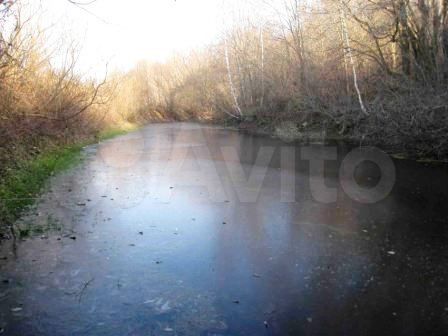 Участок 1,5 га (ИЖС)