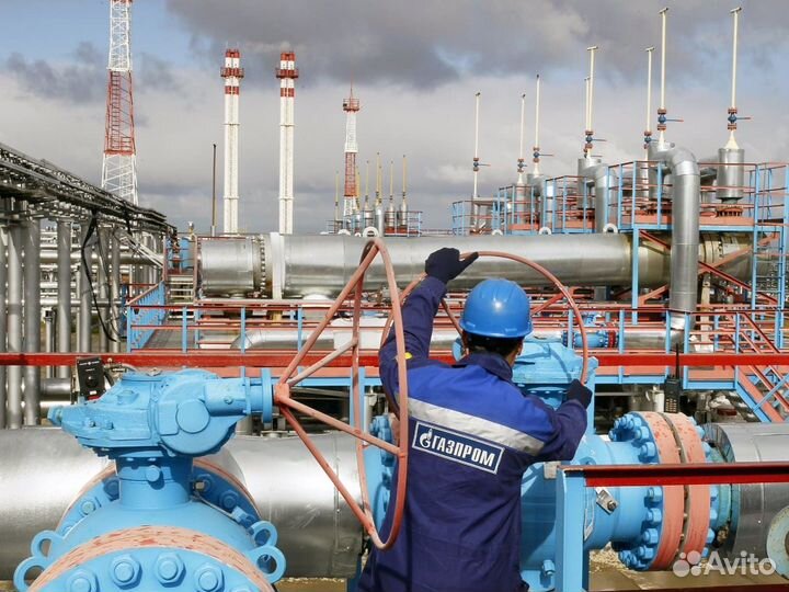 Профессиональная переподготовка, Курсы, Обучение