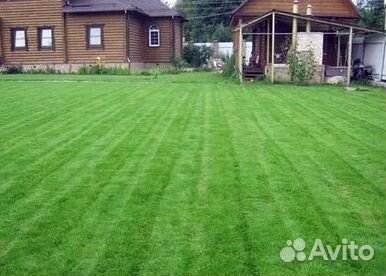 Гидропосев