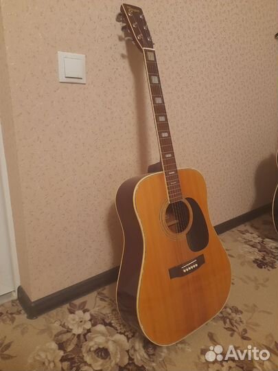 Акустическая гитара tomson wm-30