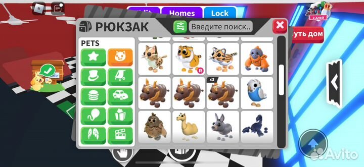 Пэты адопт ми