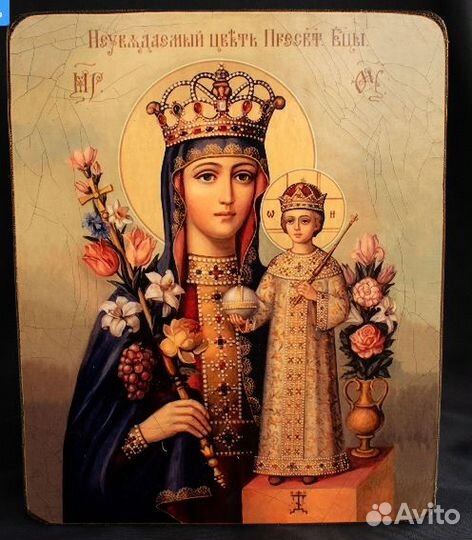 Икона Спиридона Тримифунтского и Богоматери