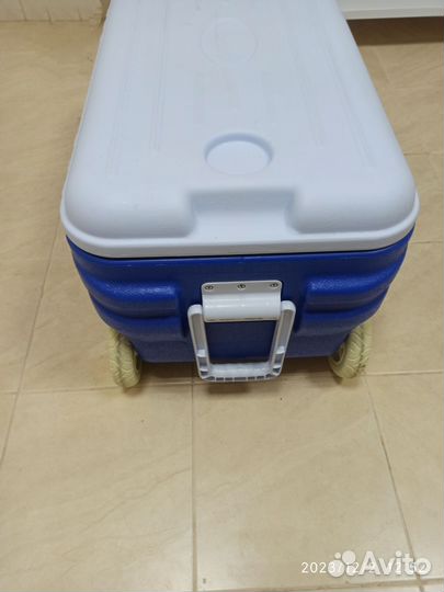 Термоконтейнер арктика