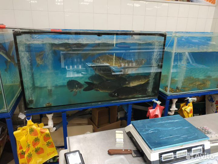 Аквариум с тумбой бу