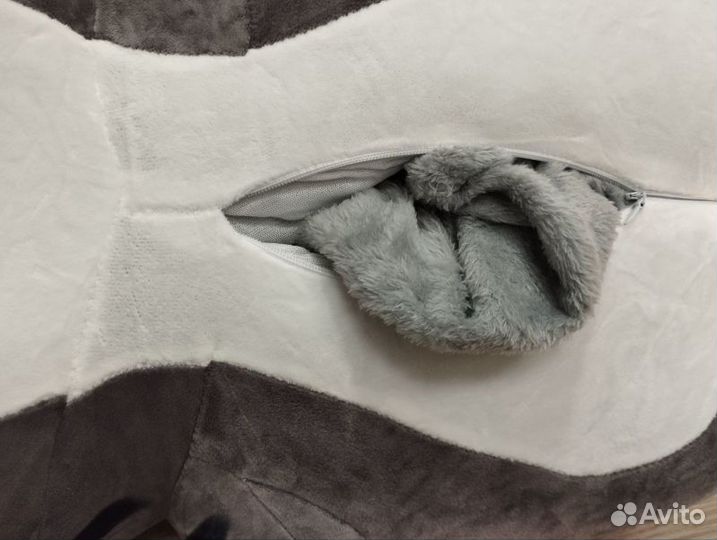 Кот Фараон с пледом