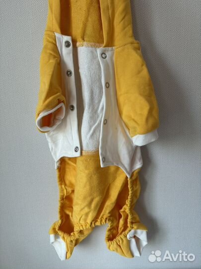 Костюм для собаки