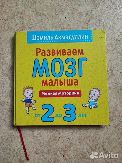 Развиваем мозг ребенка Шамиль Ахмадуллин 2-3 года