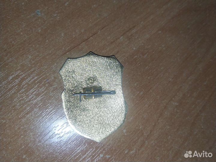 Значок дружинник