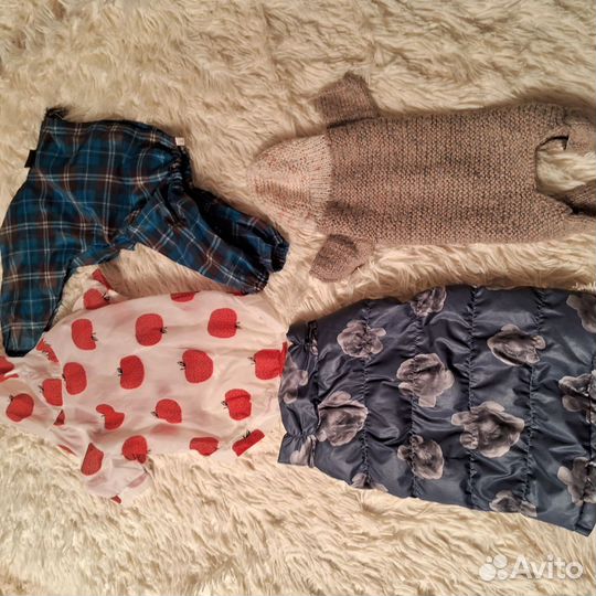 Одежда для маленьких собак