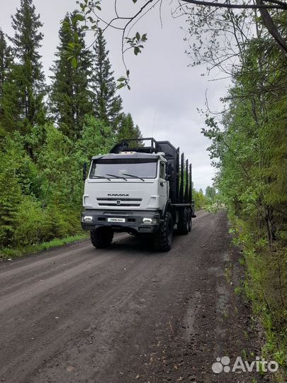 КАМАЗ 43118 с КМУ, 2006