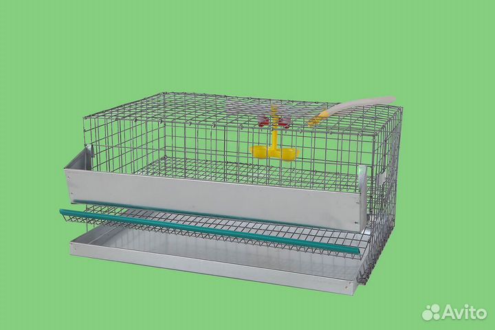 Клетка для перепелов,перепела в комплекте