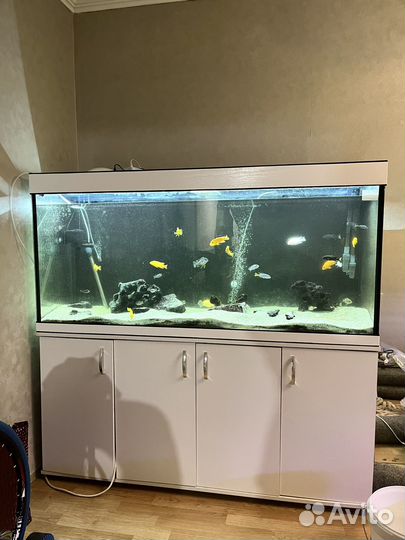 Аквариум 500 литров с тумбой