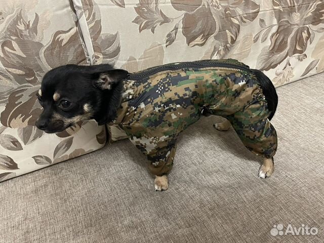 Куртка для малениких собак