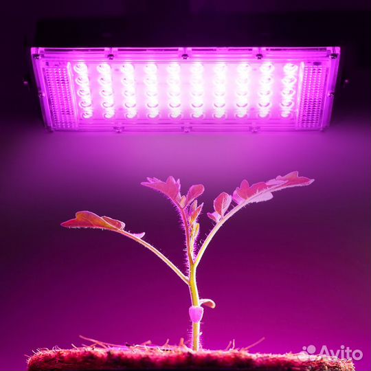 Фитолампа, фитосветильник для растений 50 Вт