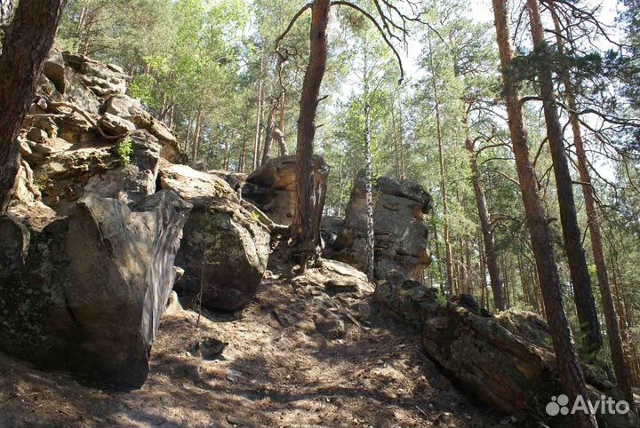 Автобусная поездка 