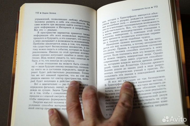 Книга - Управления реальностью. Вадим Зеланд