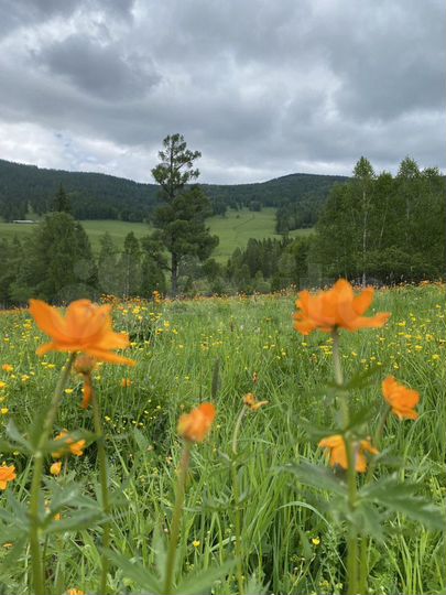 Коттедж 300 м² на участке 12 га