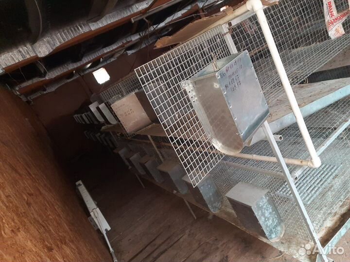 Кормушки для кроликов