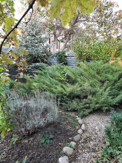 Дом 120 м² на участке 6 сот.