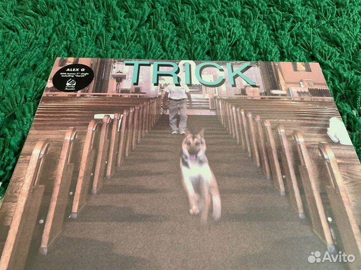 Alex G Trick vinyl