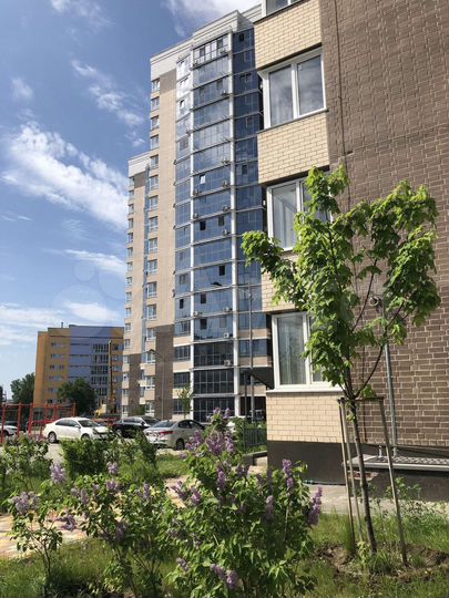 1-к. квартира, 59,9 м², 17/19 эт.