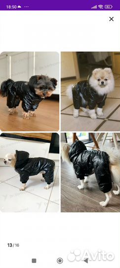 Комбинезон зимний для собак мелких парод