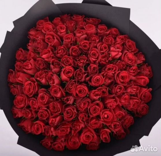 51 и 101 роза