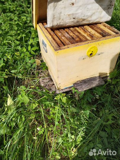 Улей для пчел