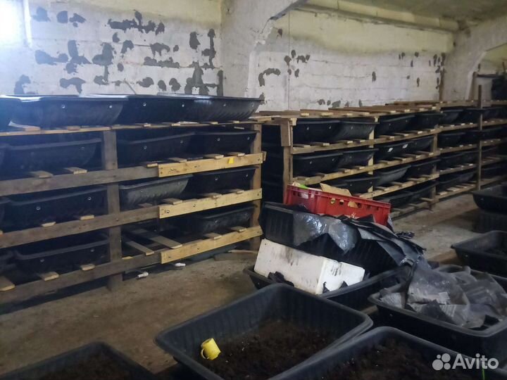 Биогумус, свое производство