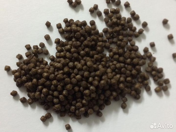 Корм для карпа кои