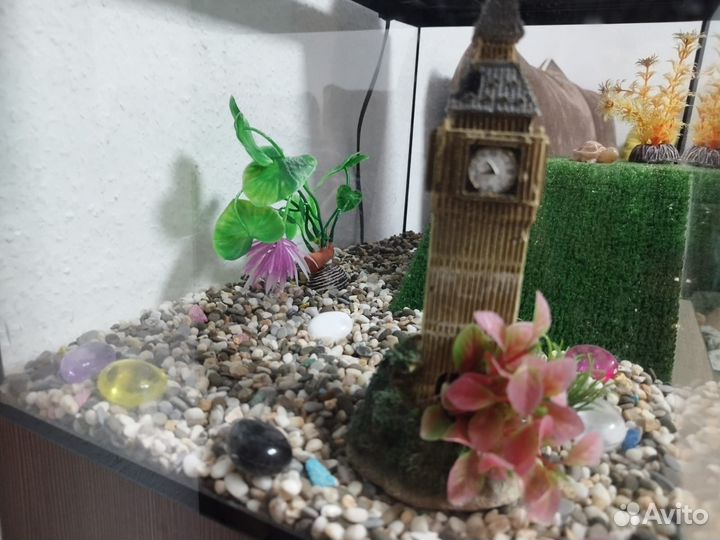 Аквариум 40л