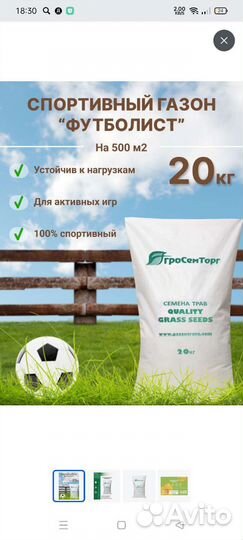 Семена газонной травы