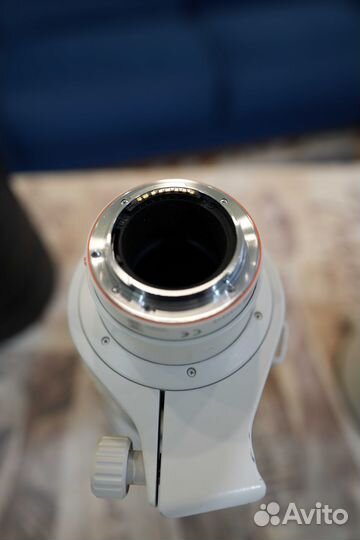 Sony AF 300mm F2.8 G SSM