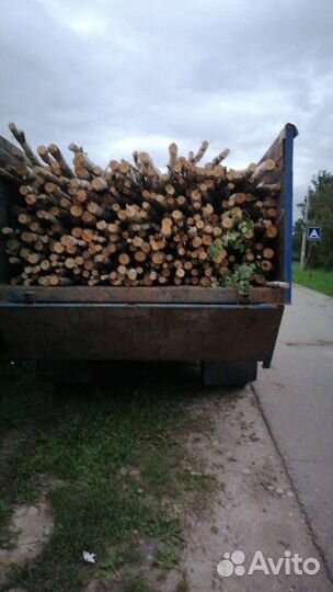 Дрова берёзовые