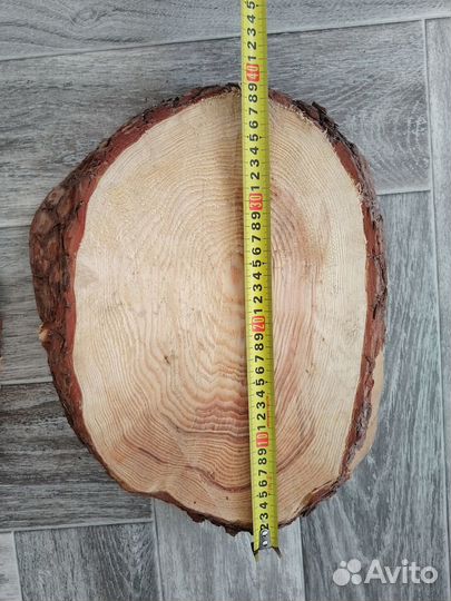 Спилы дерева