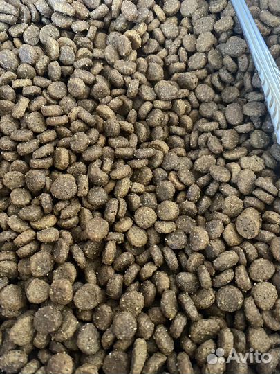 Корм для щенков