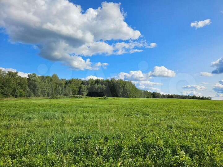 Участок 100 сот. (ИЖС)