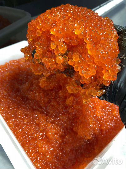 Икра горбуши, форели