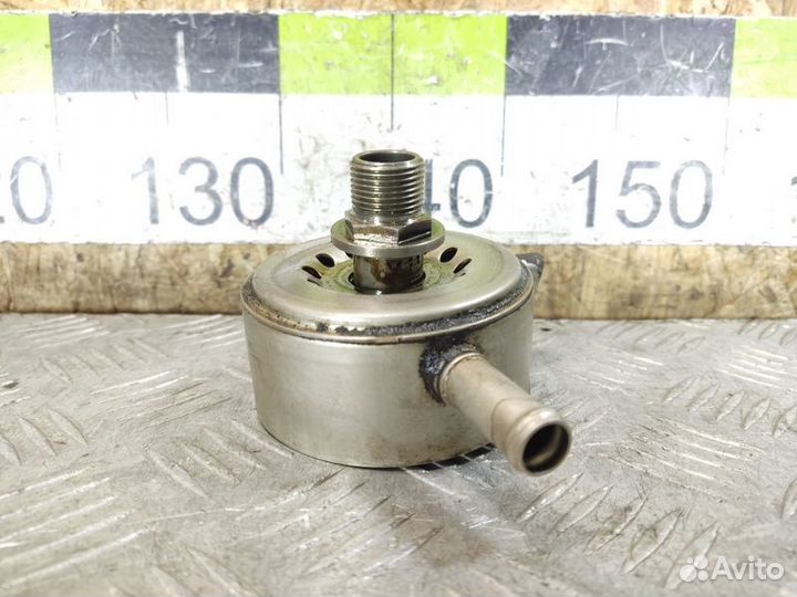 Радиатор масляный Nissan Teana j32