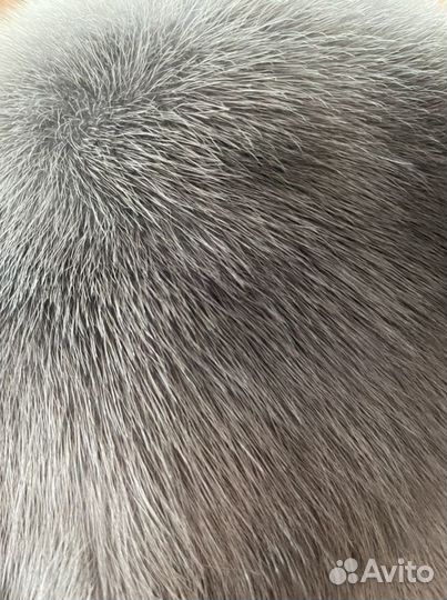 Шапка голубая норка